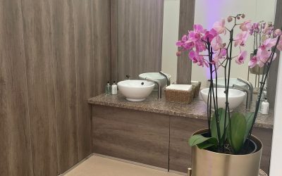 Luxurious and Spacious Interiors