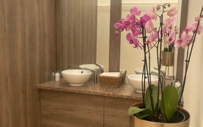 Luxurious and Spacious Interiors